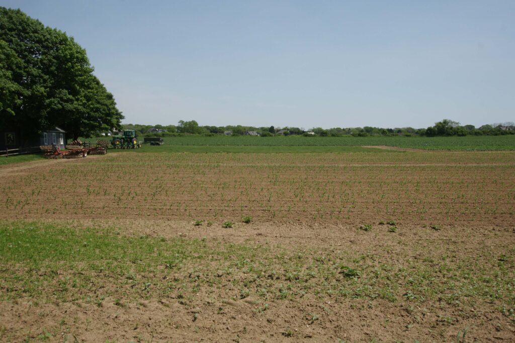 Farmland in East Hampton